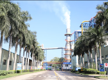 <stl:content type='Title'>